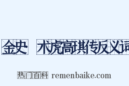 金史·术虎高琪传反义词是什么意思的图片